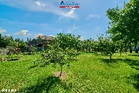 Działka — Krajenka-Wybudowanie — zdjęcie 5