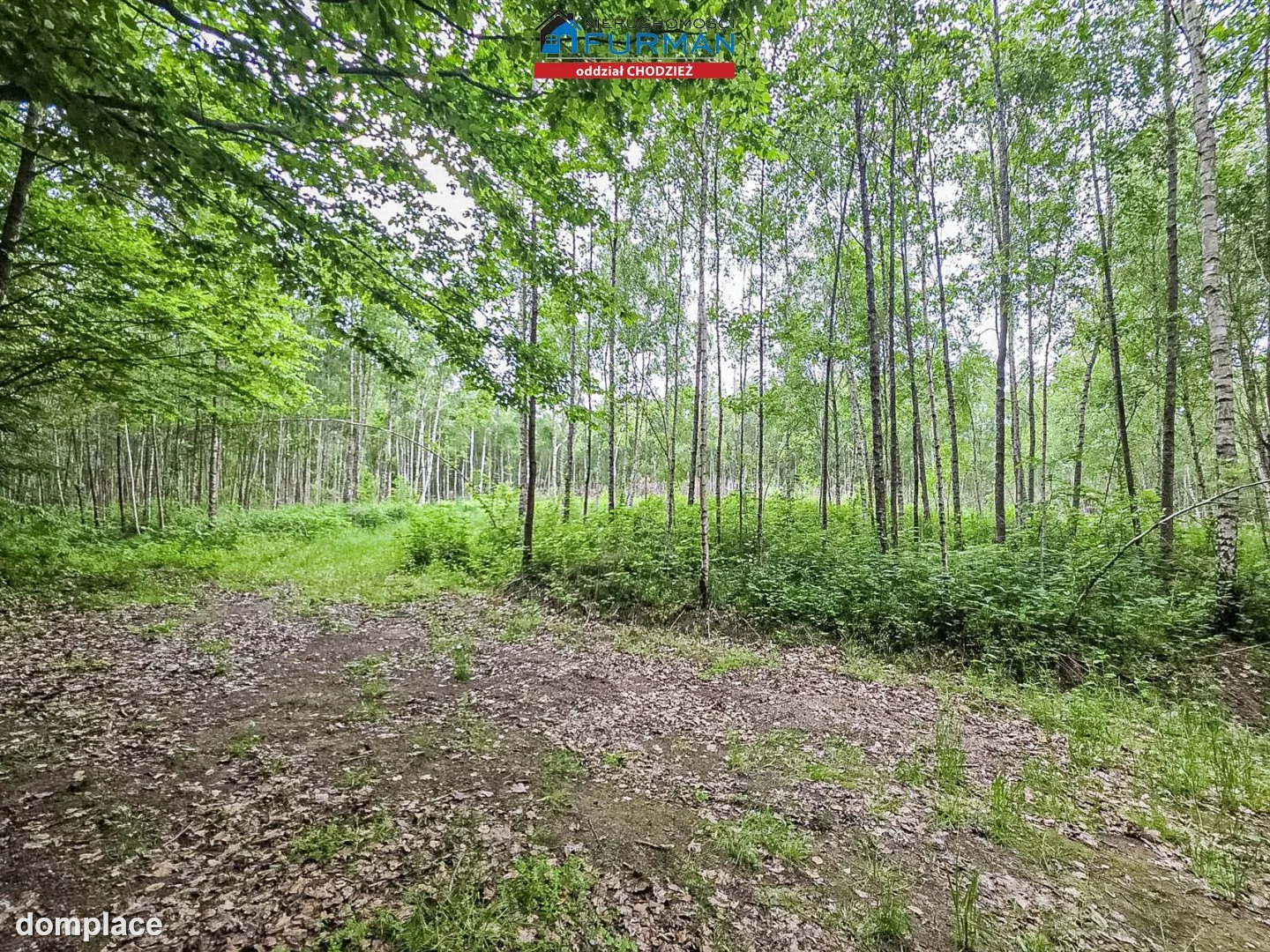 Działka — Popielewo — zdjęcie 2