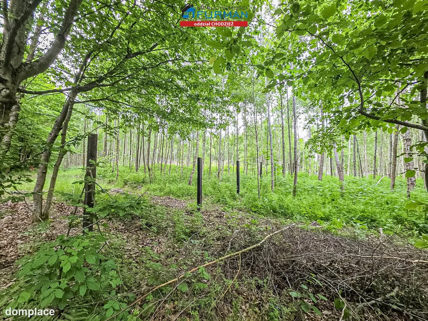 Działka — Popielewo — zdjęcie 5