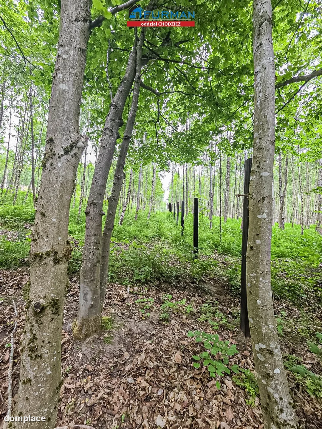 Działka — Popielewo — zdjęcie 6