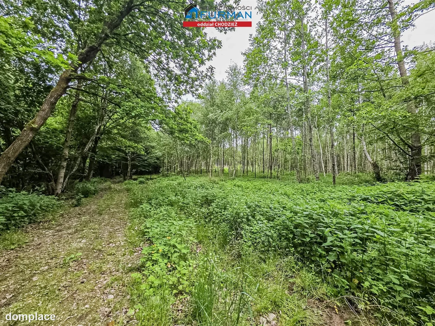 Działka — Popielewo — zdjęcie 7