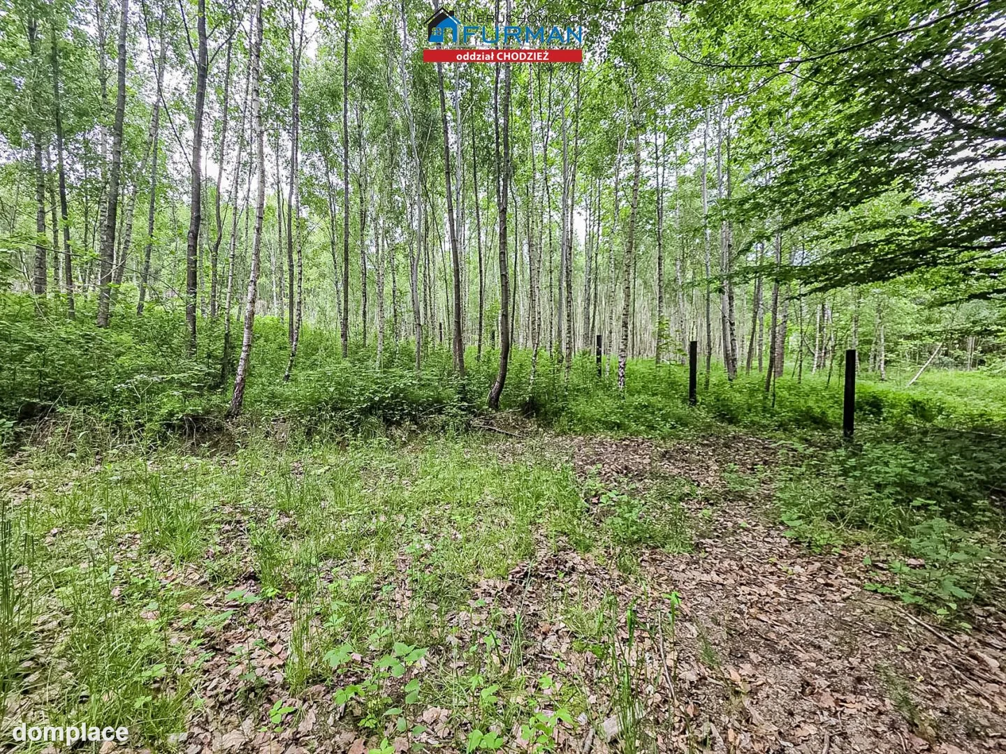 Działka — Popielewo — zdjęcie 8