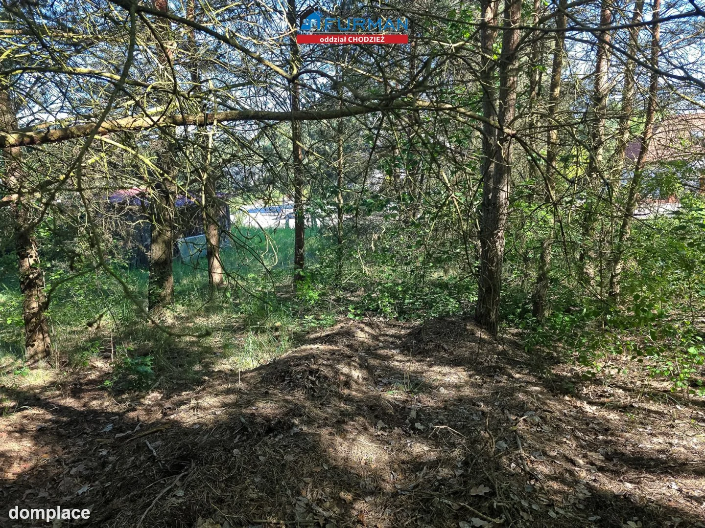 Działka — Rataje — zdjęcie 12