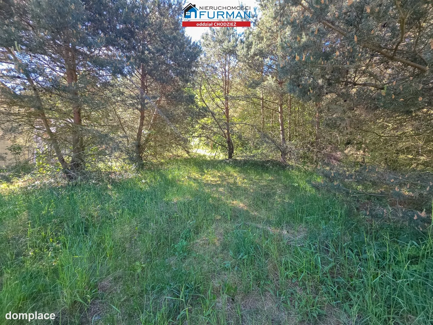 Działka — Rataje — zdjęcie 13