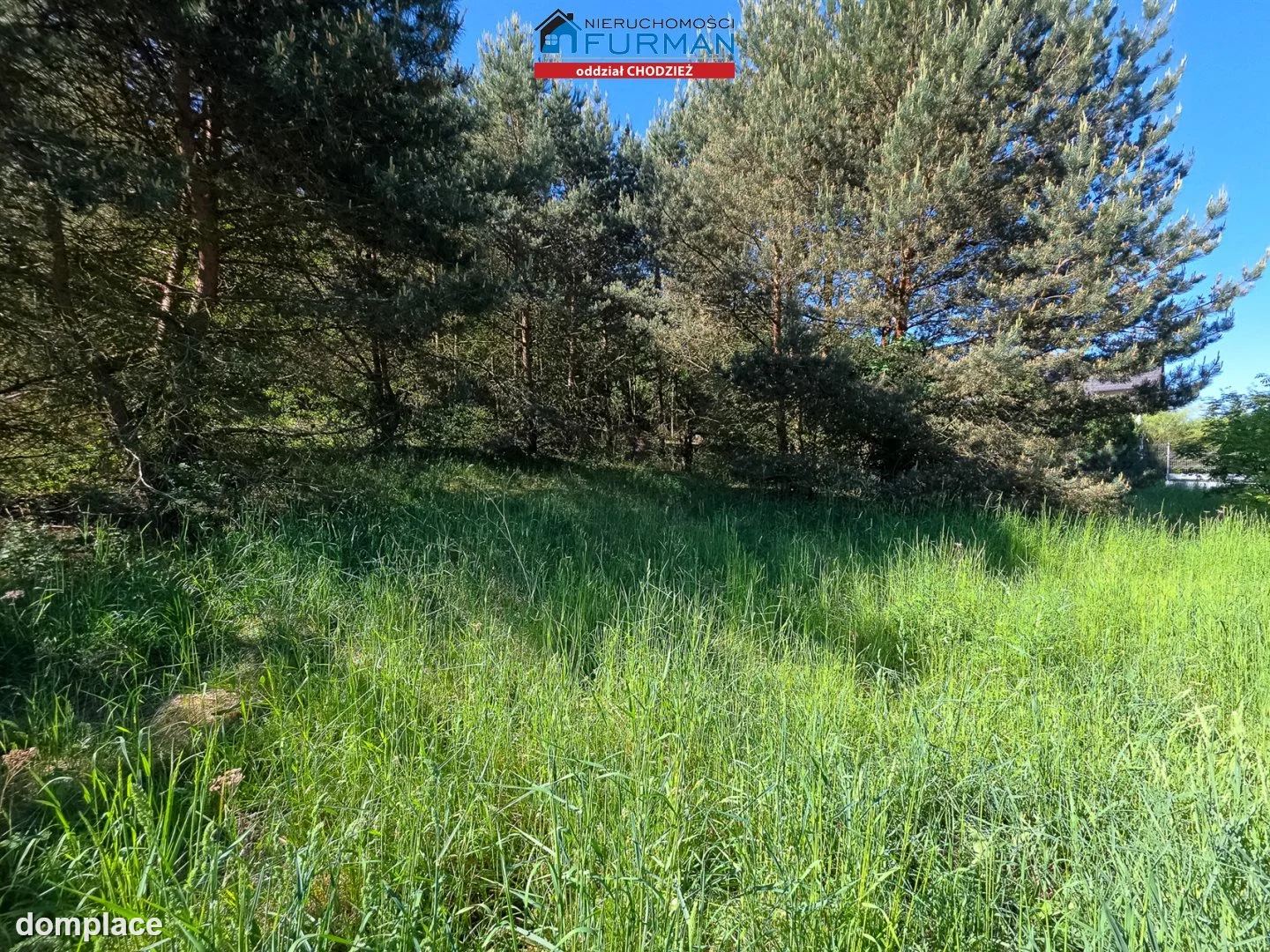 Działka — Rataje — zdjęcie 9