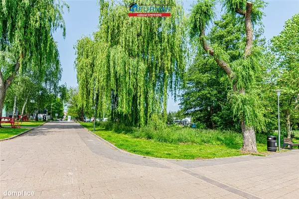 Działka — Chodzież — zdjęcie 4