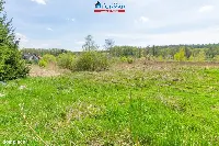 Działka — Chodzież, Chodzież — zdjęcie 3