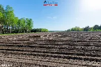 Działka — Budzyń — zdjęcie 5
