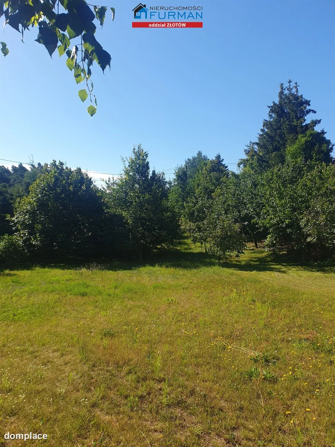 Działka — Święta — zdjęcie 3
