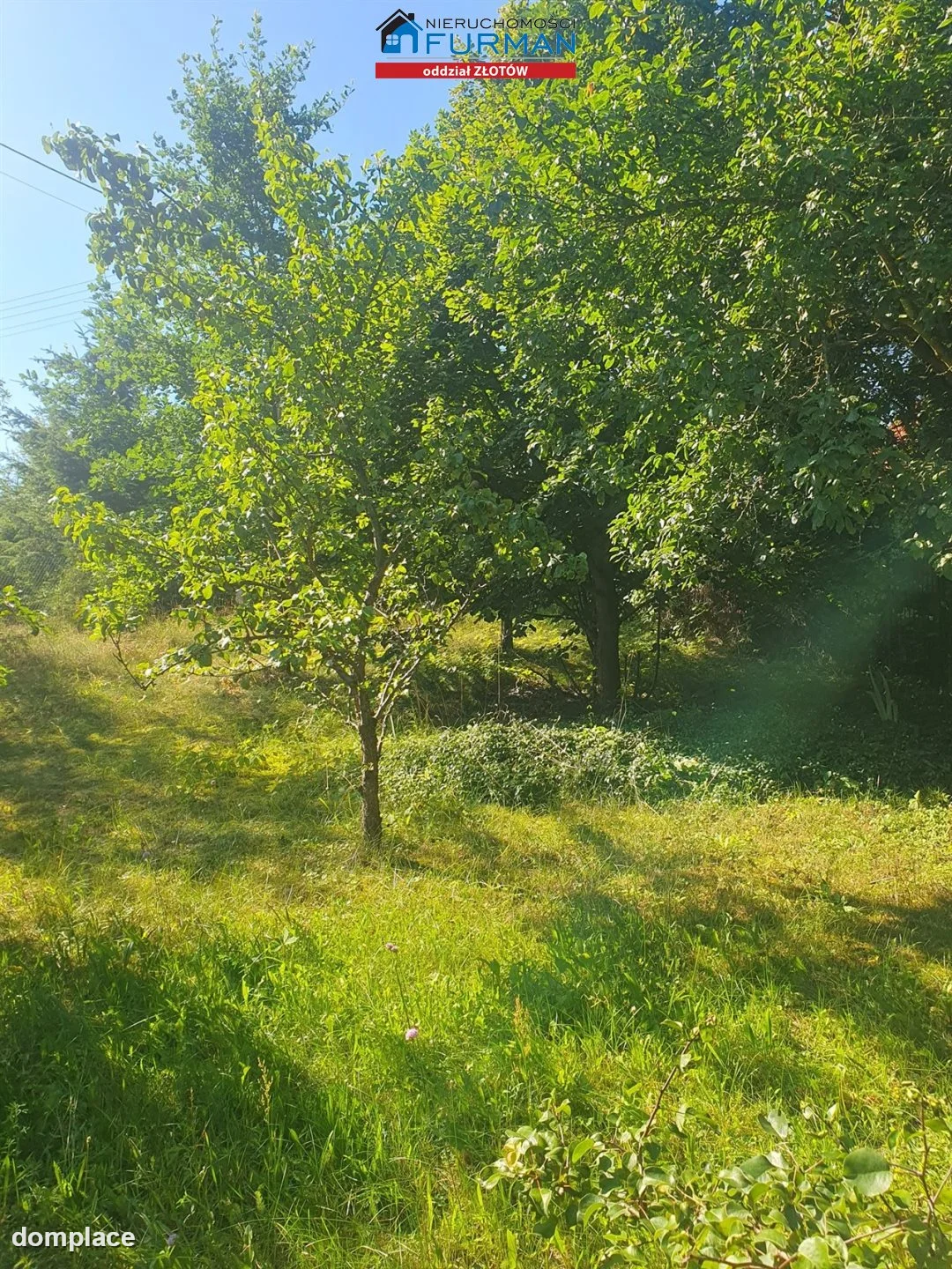 Działka — Święta — zdjęcie 8