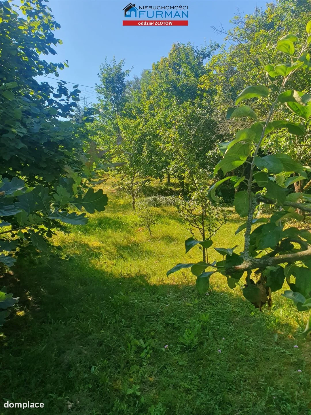 Działka — Święta — zdjęcie 9