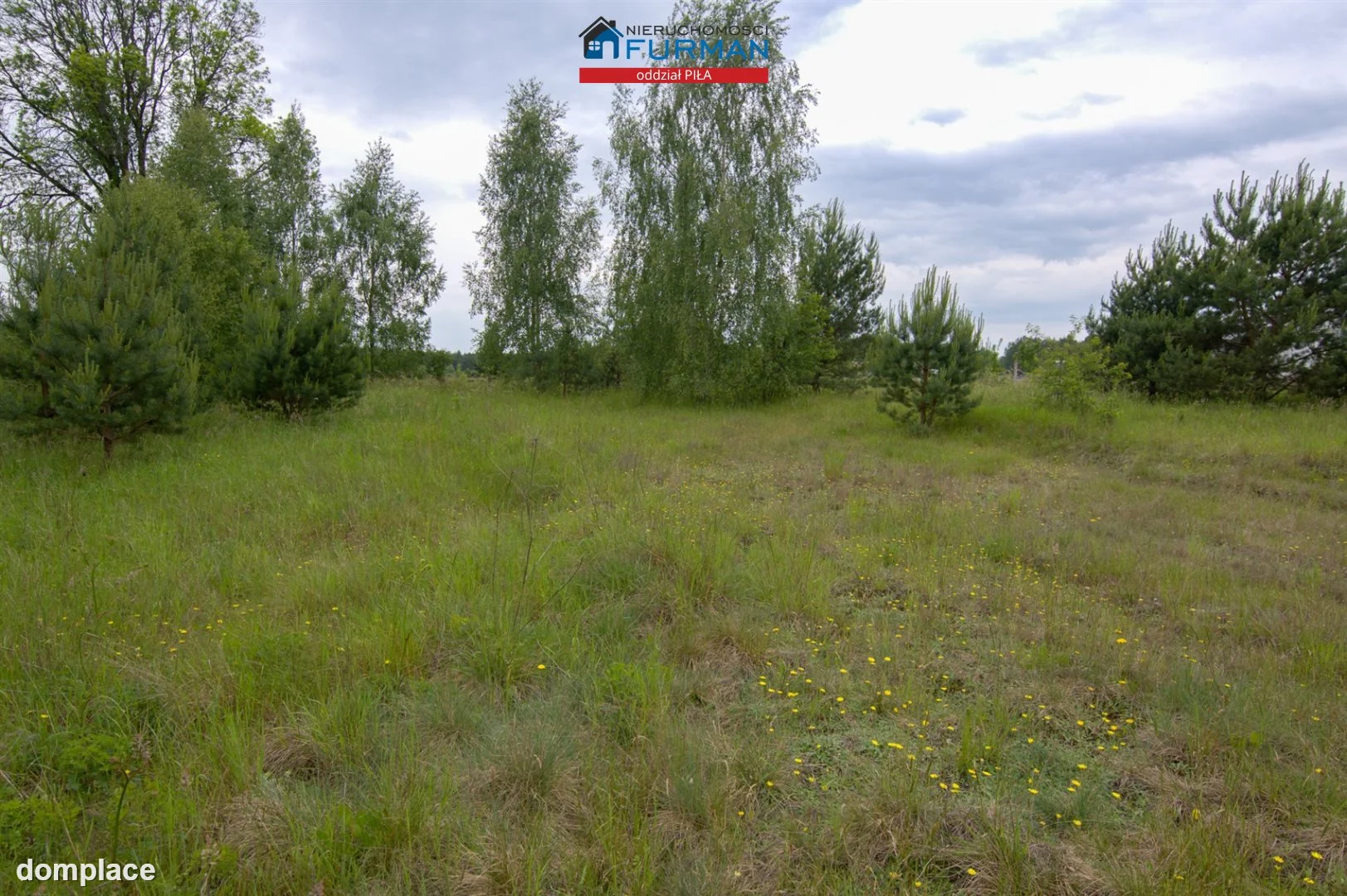 Działka — Plecemin — zdjęcie 11
