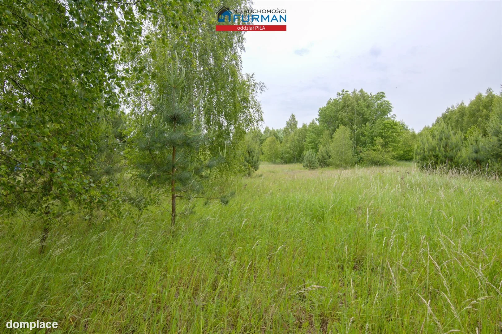 Działka — Plecemin — zdjęcie 5