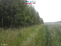 Działka — Skoki — zdjęcie 4