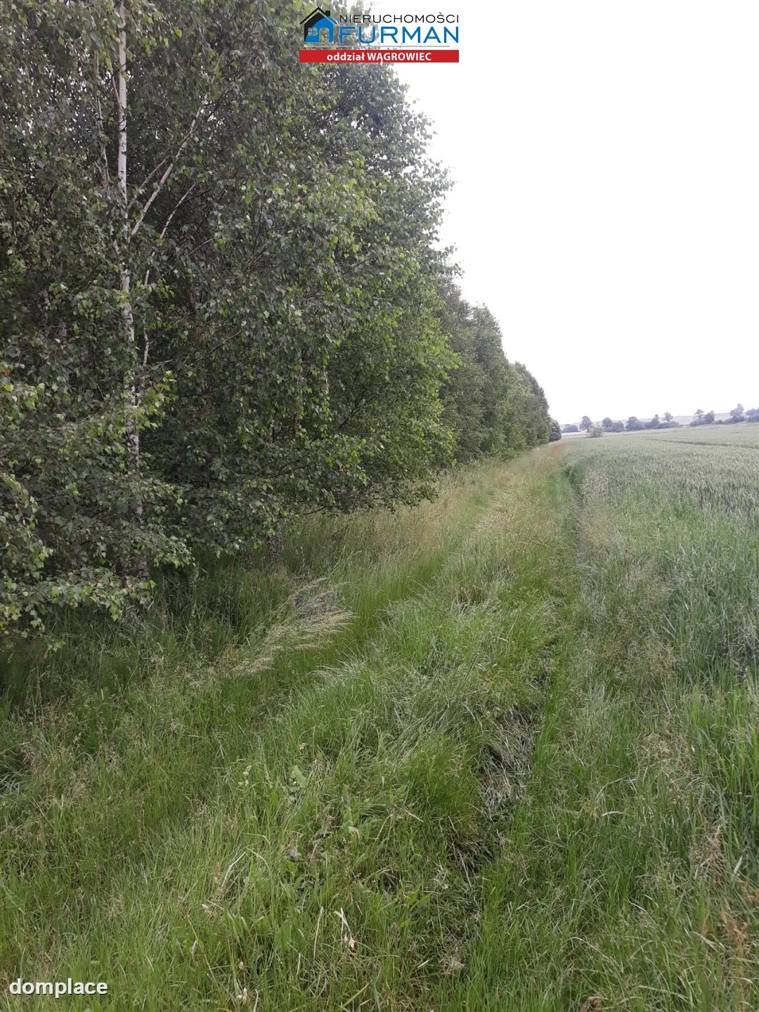 Działka — Skoki — zdjęcie 8
