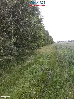Działka — Skoki — zdjęcie 8