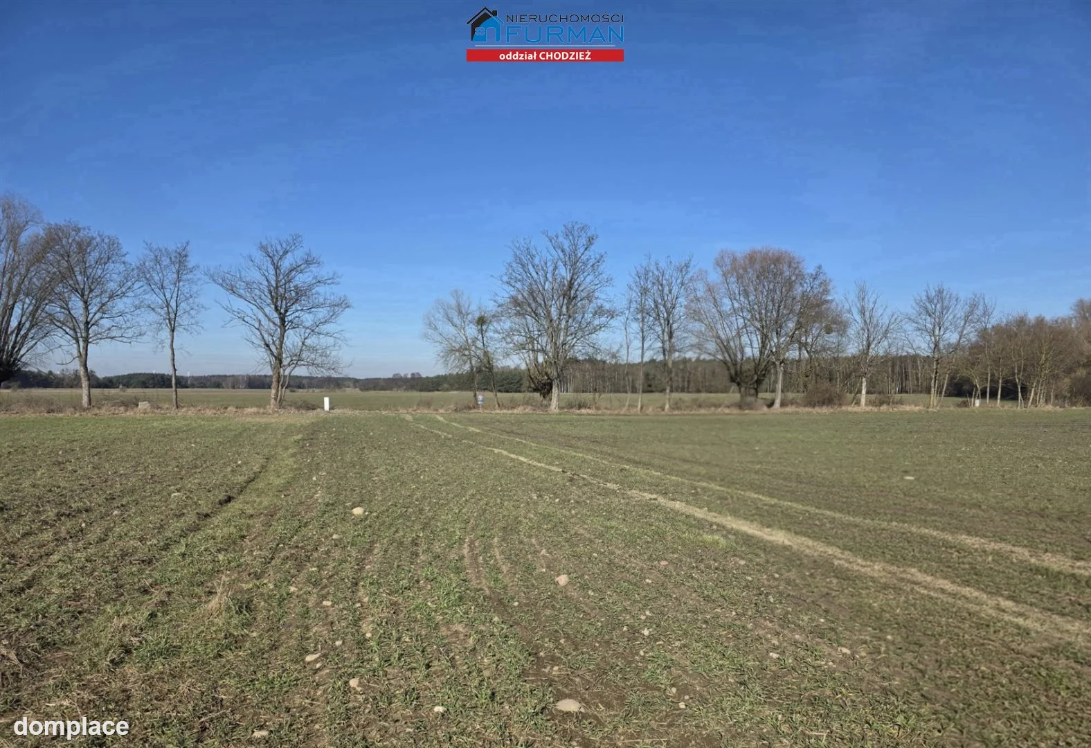 Działka — Tarnowo — zdjęcie 5