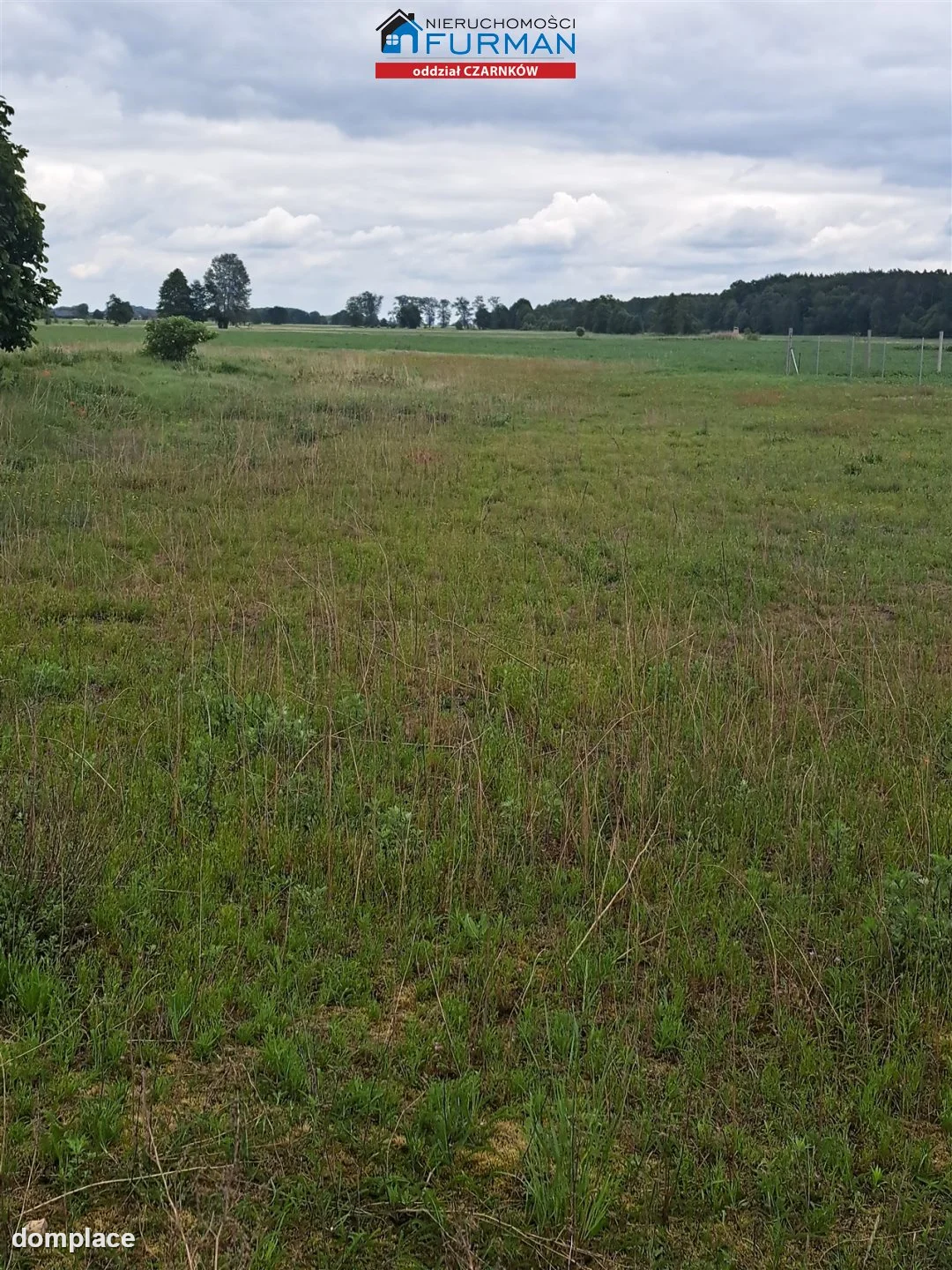 Działka — Sokołowo — zdjęcie 7