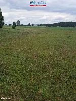 Działka — Sokołowo — zdjęcie 7
