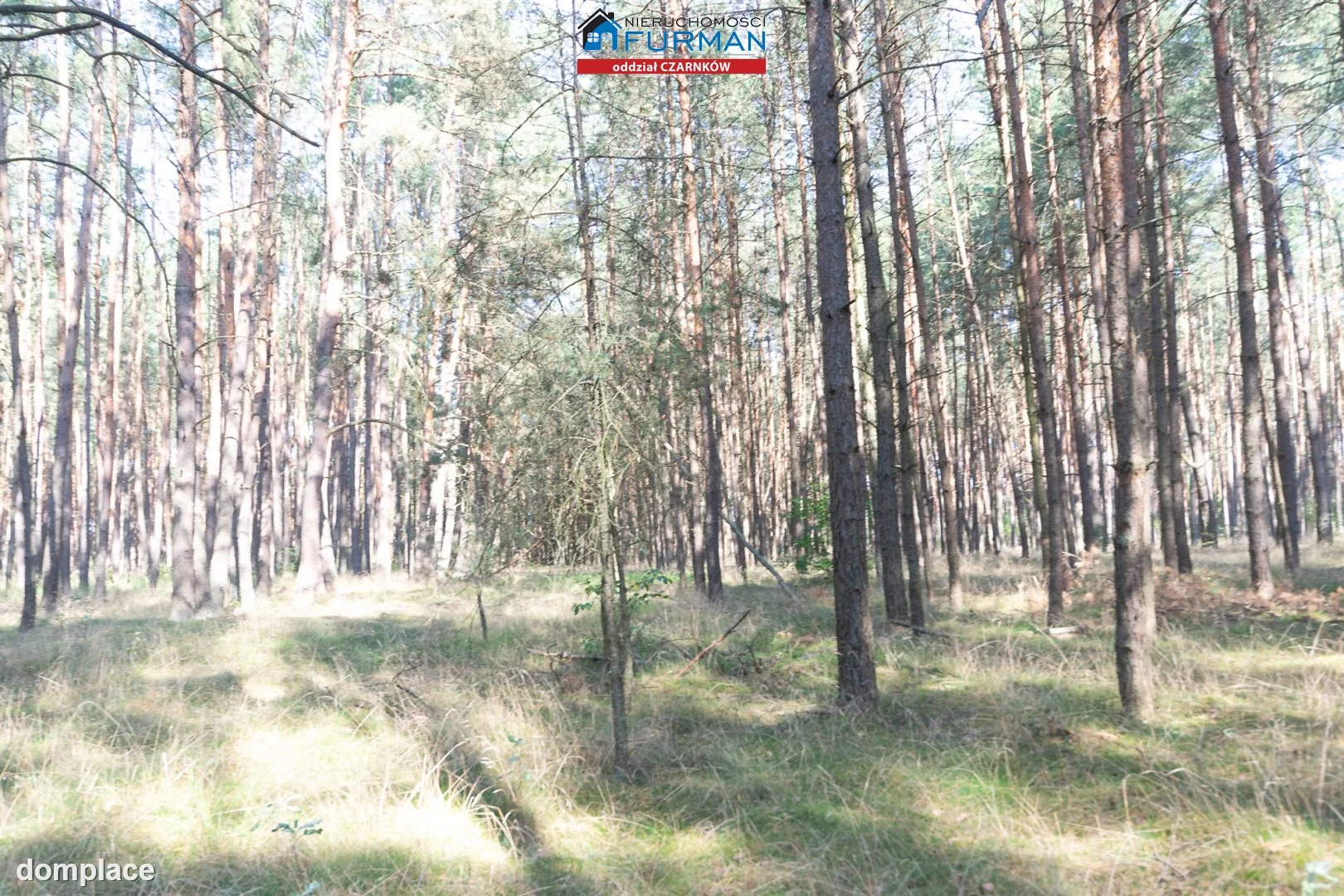 Działka — Rosko — zdjęcie 10