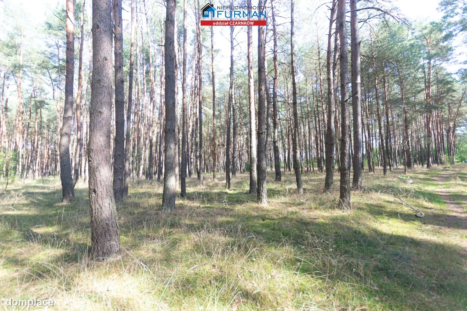 Działka — Rosko — zdjęcie 11
