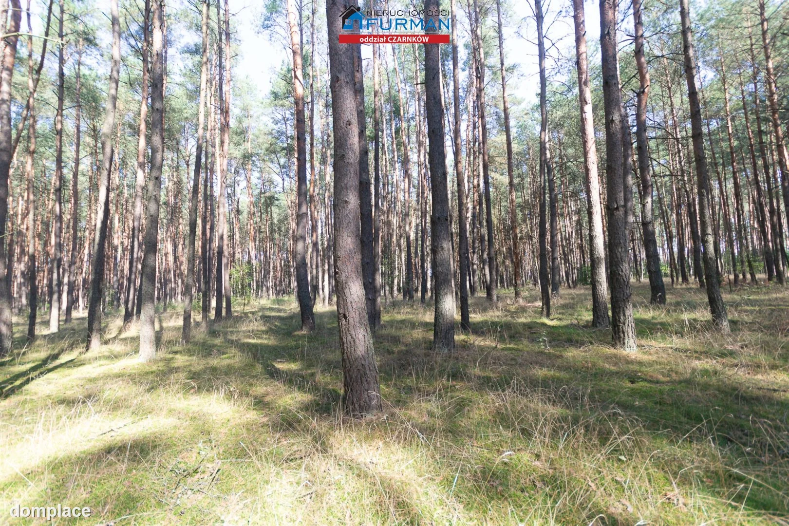 Działka — Rosko — zdjęcie 12
