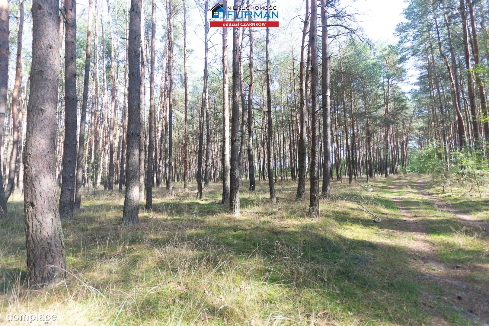 Działka — Rosko — zdjęcie 13