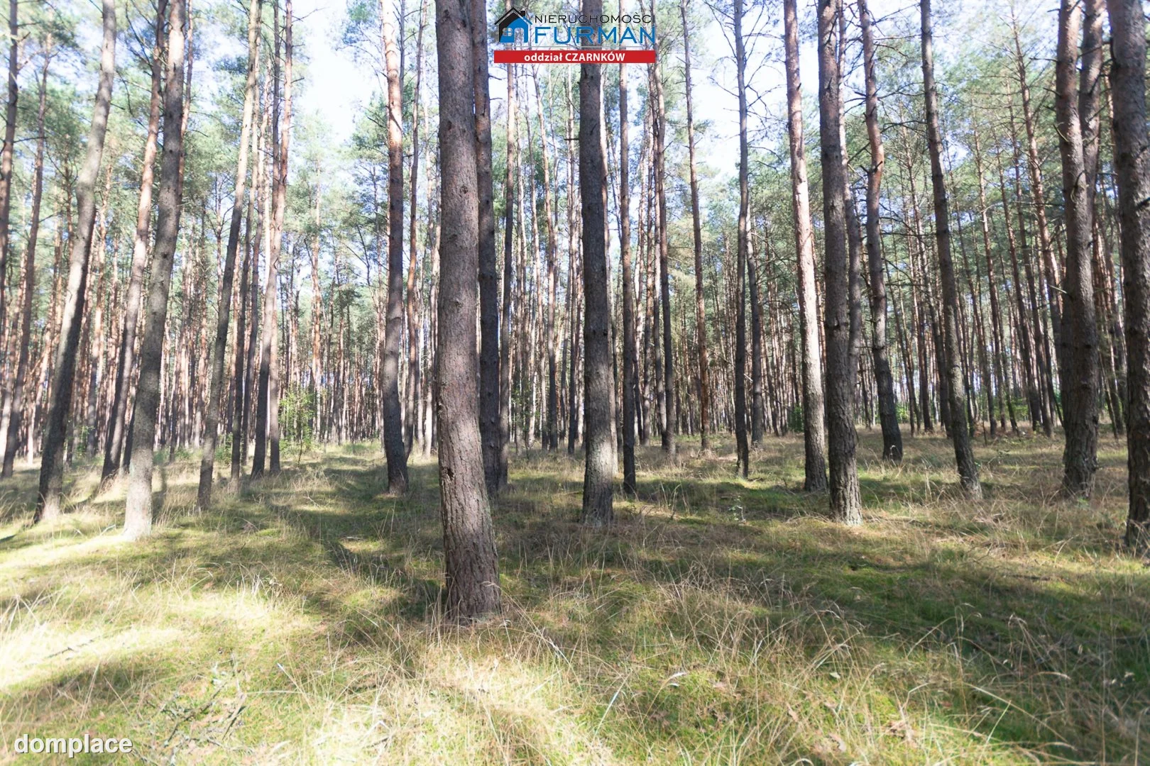 Działka — Rosko — zdjęcie 14