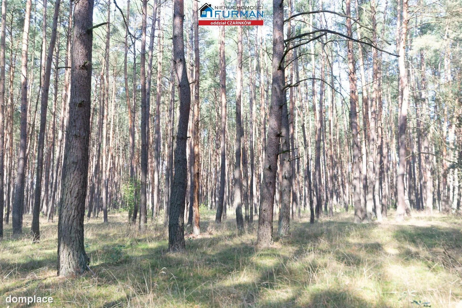Działka — Rosko — zdjęcie 8