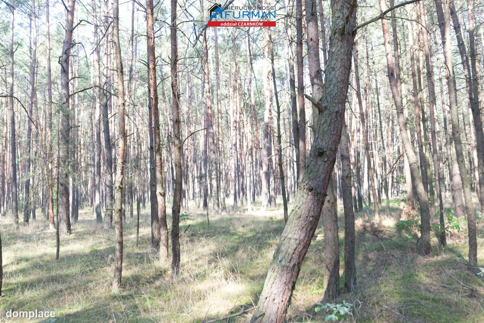Działka — Rosko — zdjęcie 9