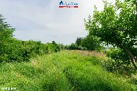 Działka — Chodzież — zdjęcie 2