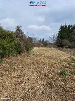 Działka — Chodzież — zdjęcie 6