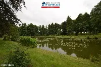 Lokal użytkowy — Dobrzyca — zdjęcie 10