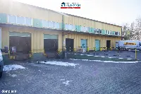 Lokal użytkowy — Piła — zdjęcie 6