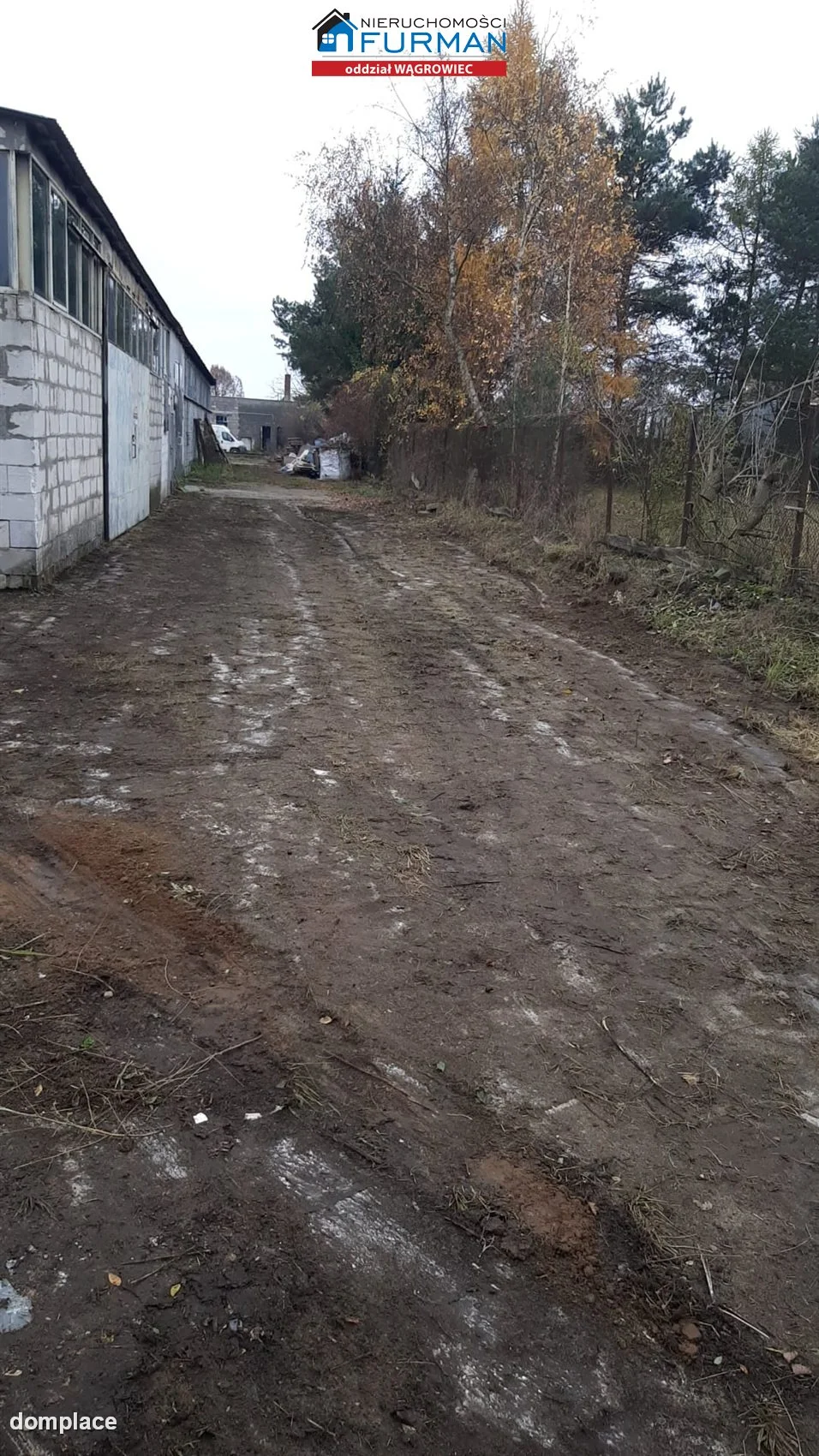 Hala/Magazyn — Wągrowiec — zdjęcie 3