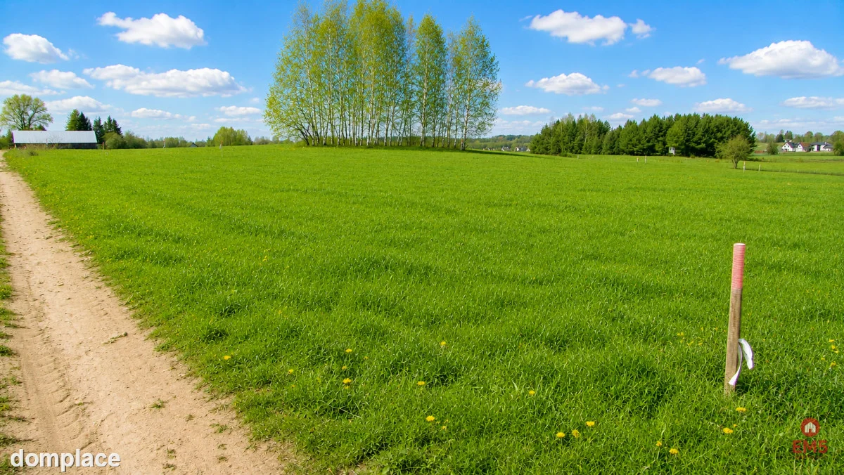 Działka budowlana 1000 m2, Tołcze — zdjęcie 5