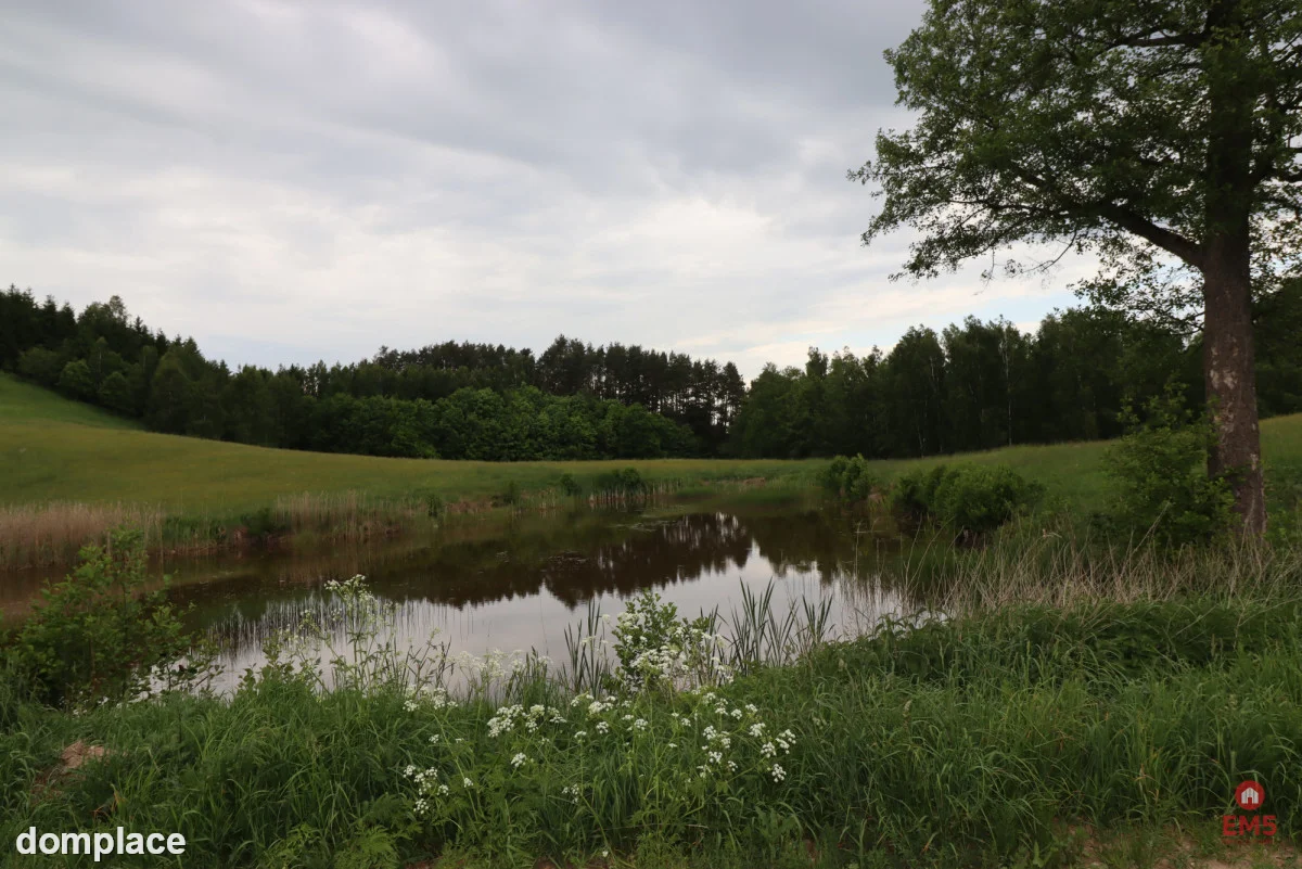 Dom wśród natury — zdjęcie 10
