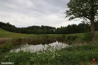 Dom wśród natury — zdjęcie 9