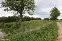 Dom wśród natury — zdjęcie 10