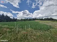 Działka z lasem w Nakle — zdjęcie 2