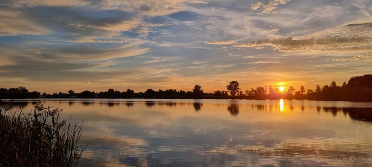 Działka (Budowlana)