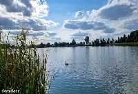 Działka (Budowlana) — zdjęcie 2