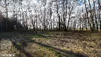 Działka (Budowlana) — zdjęcie 12