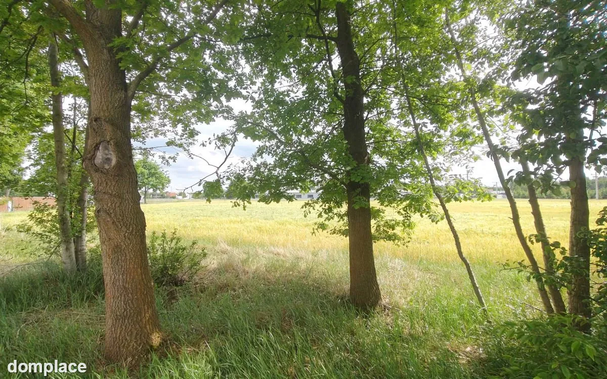 Działka z WZ blisko Nowego Tomyśla. — zdjęcie 2