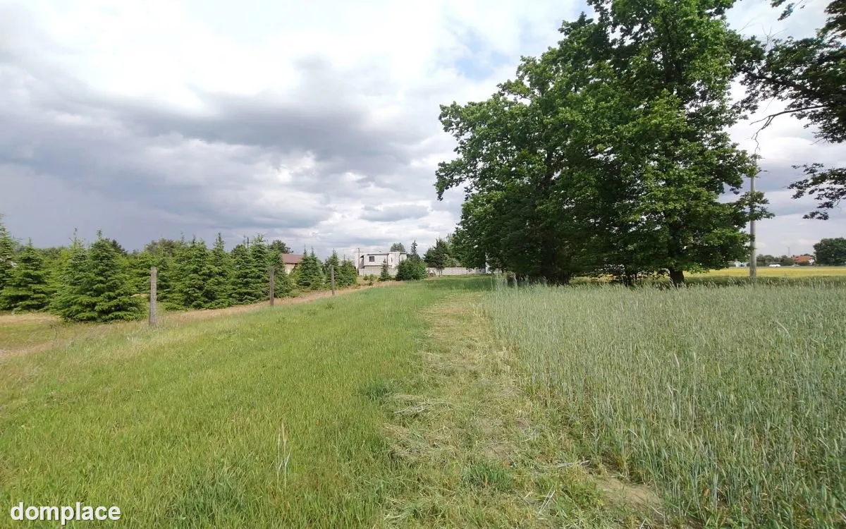 Działka z WZ blisko Nowego Tomyśla. — zdjęcie 7