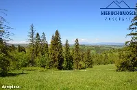 Dom — tatrzański, Bukowina Tatrzańska — zdjęcie 2