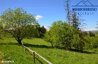 Dom — tatrzański, Bukowina Tatrzańska — zdjęcie 4