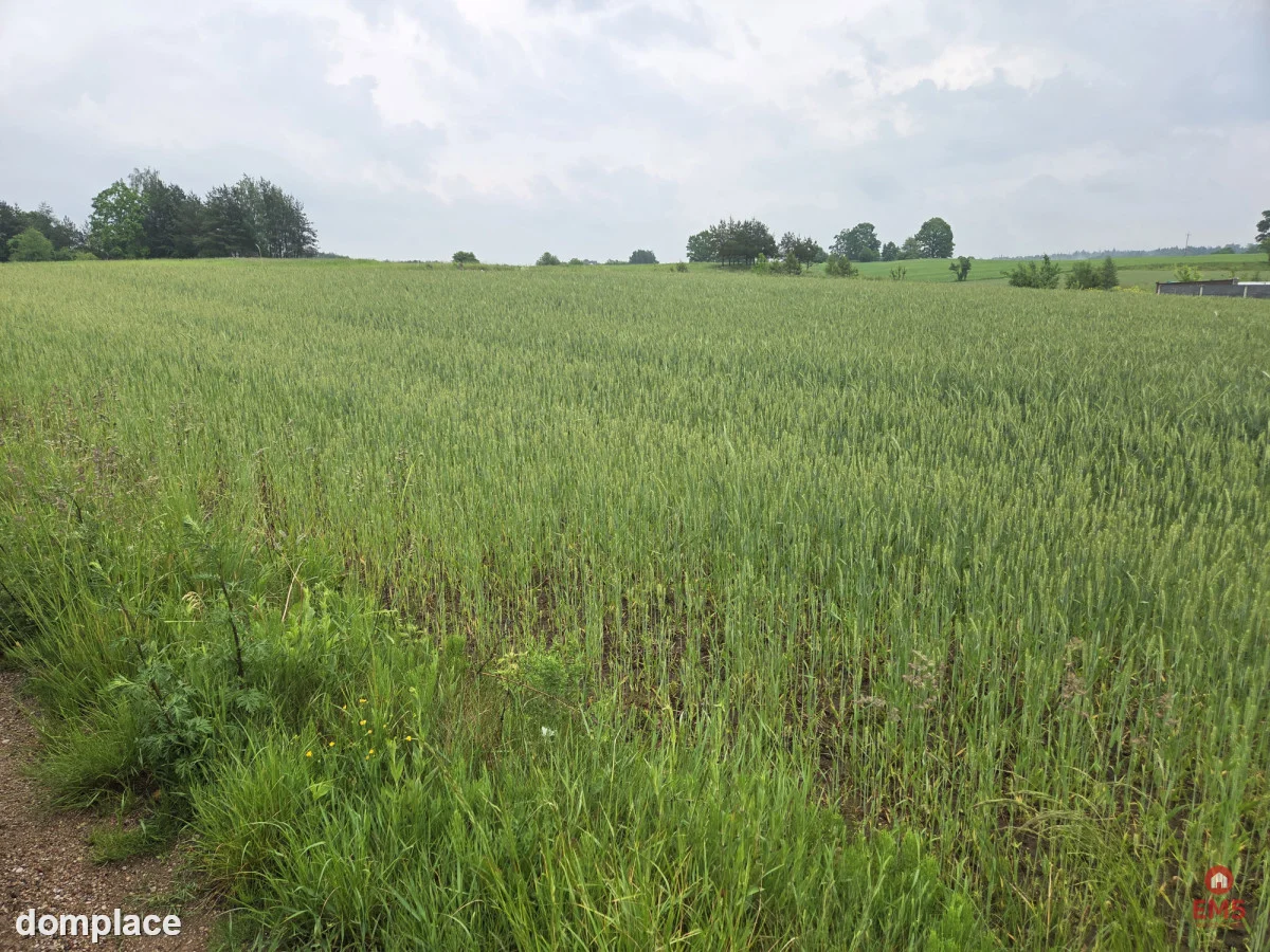 Idealne miejsce na Twój dom — zdjęcie 4