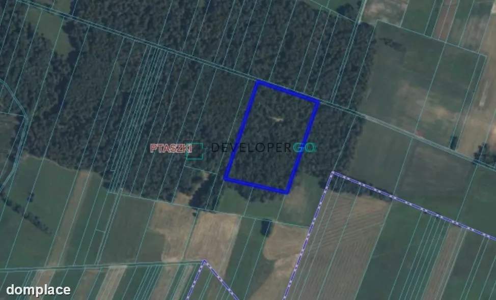 ** Działka leśna 2,65ha gm. Mordy **