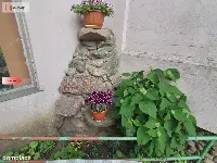 Dobra Cena! Działka ROD *KAPUŚCISKA* — zdjęcie 4